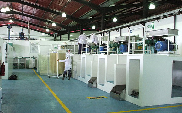 河源市91网站米麵設備(bèi)機械廠